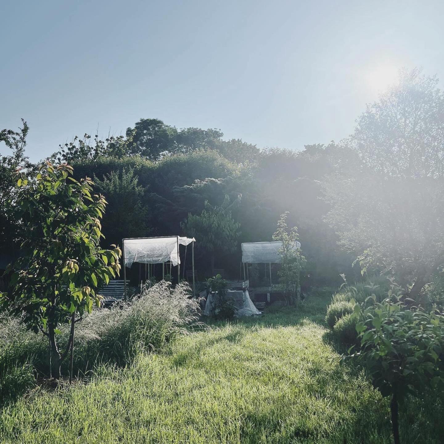 Gite - La Clochette Lugon et l'Ile du Carney Exterior photo